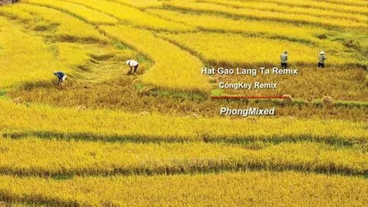 Xu hướng Mua váy hoa mà không biết 4: Hotspot Matrix tiết lộ bí quyết video viral