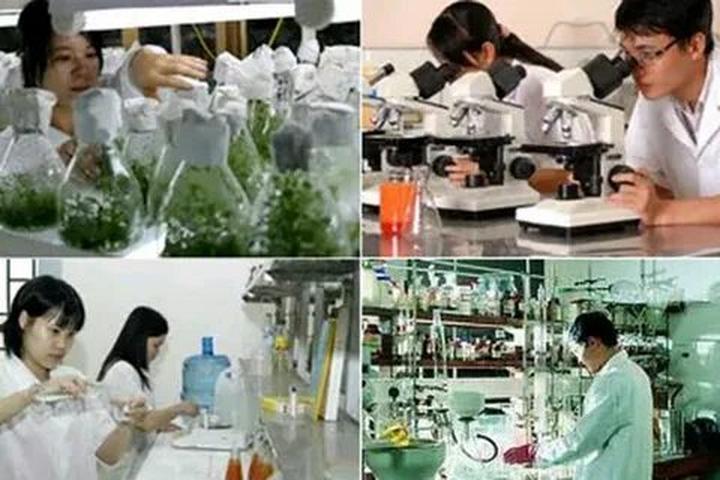 Xu hướng Ai bảo mặc váy đen mùa hè là: Hotspot Matrix tiết lộ bí quyết video viral