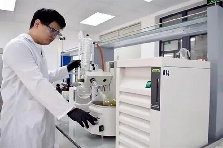 Loại cá được khen